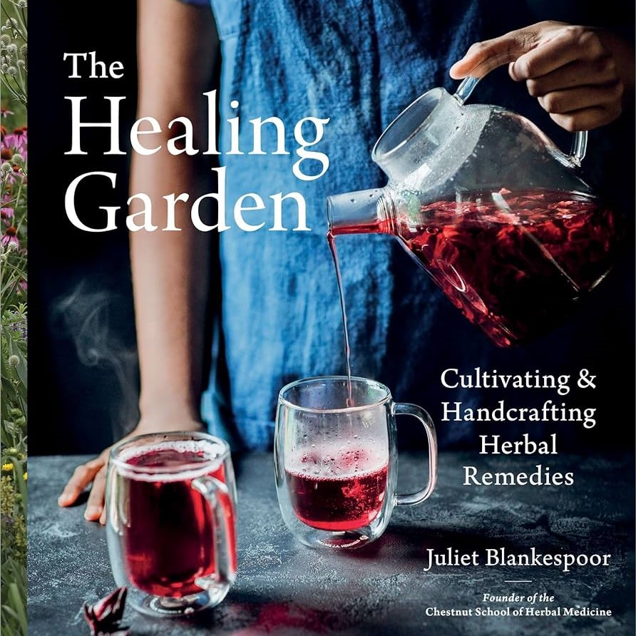 Image shows book cover of The Healing Garden by Juliet Blankespoor